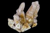 Cactus Quartz (Amethyst) Cluster - South Africa #115129-2